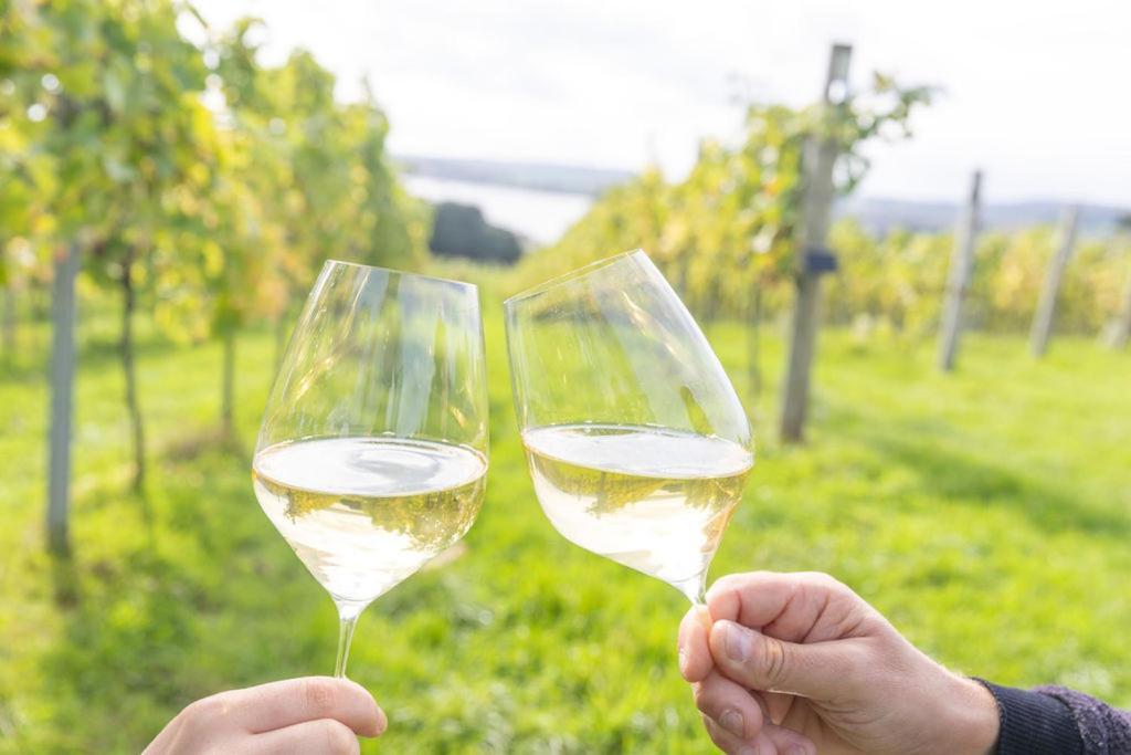 Lympstone Manor Hotel Restaurant & Vineyard - Relais & Chateaux Exmouth Exteriör bild