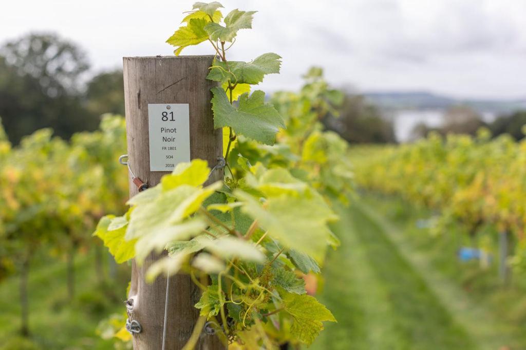 Lympstone Manor Hotel Restaurant & Vineyard - Relais & Chateaux Exmouth Exteriör bild