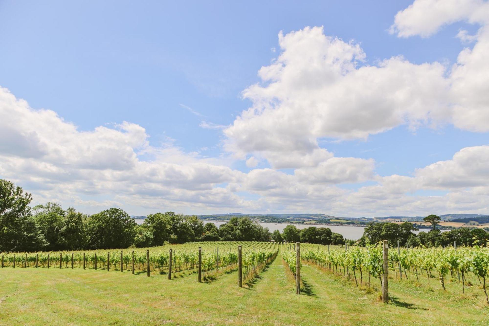 Lympstone Manor Hotel Restaurant & Vineyard - Relais & Chateaux Exmouth Exteriör bild