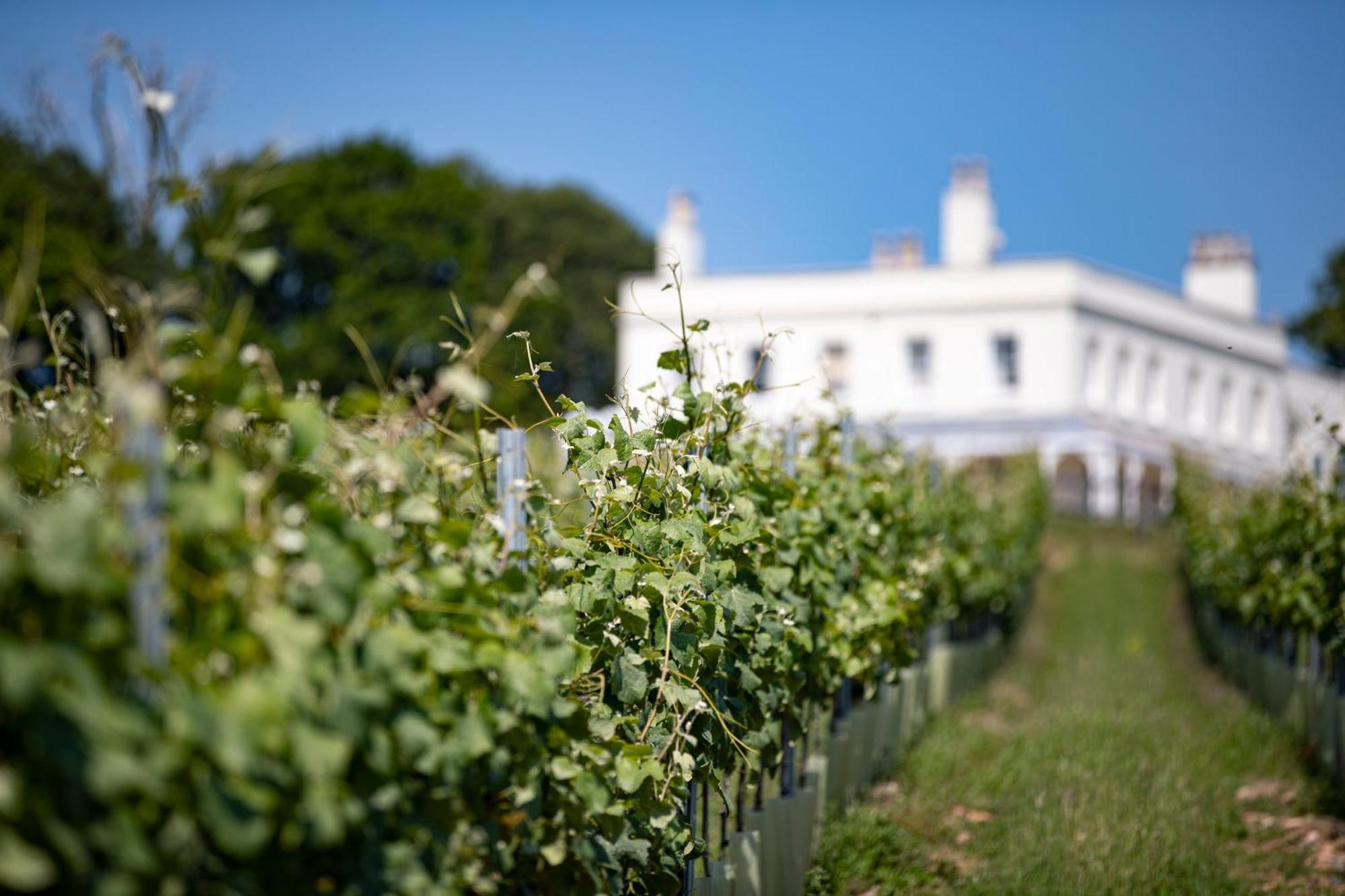 Lympstone Manor Hotel Restaurant & Vineyard - Relais & Chateaux Exmouth Exteriör bild