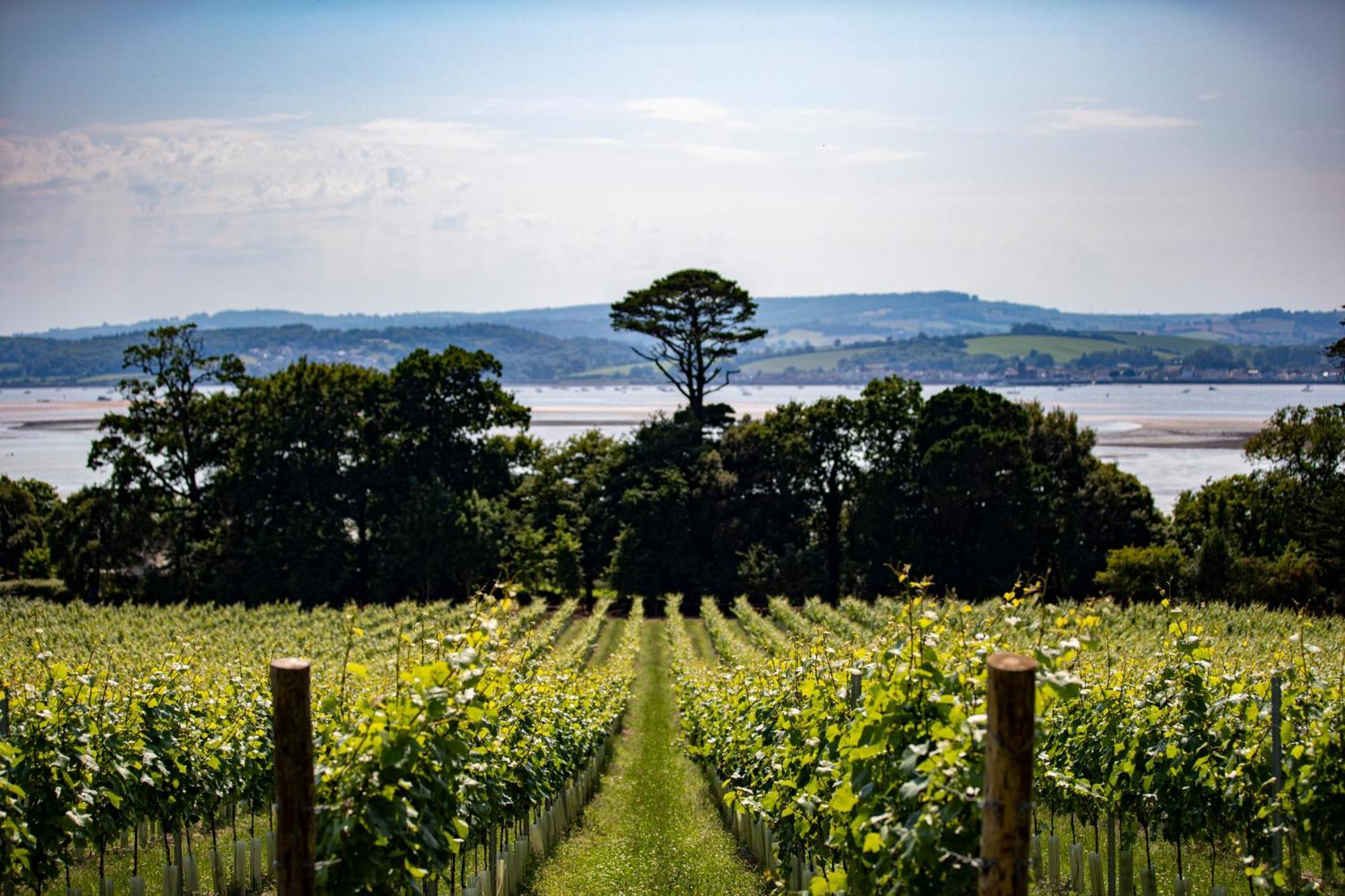 Lympstone Manor Hotel Restaurant & Vineyard - Relais & Chateaux Exmouth Exteriör bild