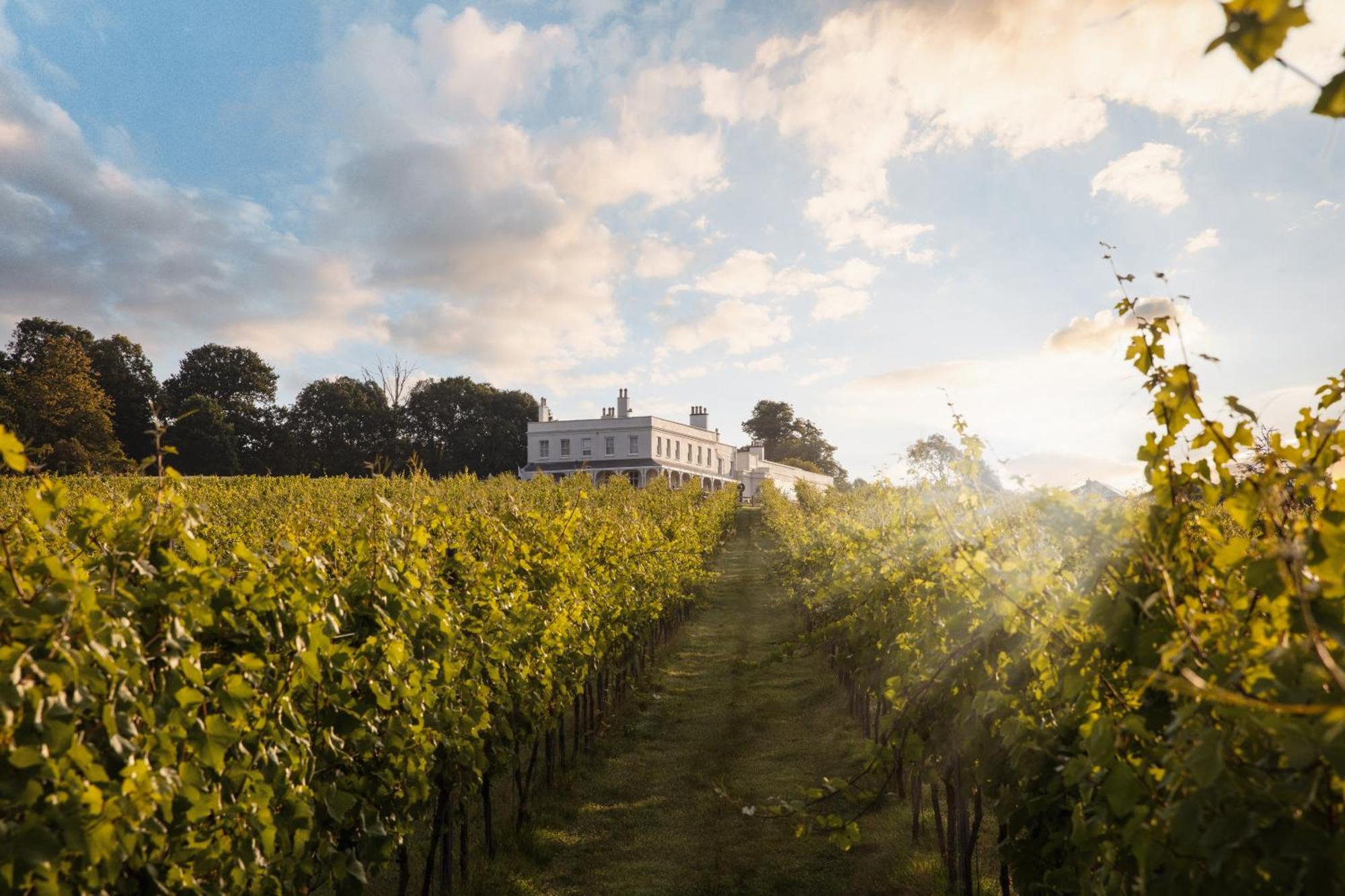 Lympstone Manor Hotel Restaurant & Vineyard - Relais & Chateaux Exmouth Exteriör bild